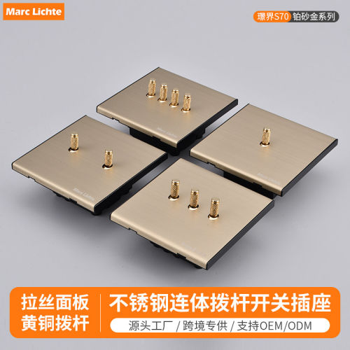 不锈钢金属面板金色复古拔杆开关一开二开三开四开墙壁电源开关