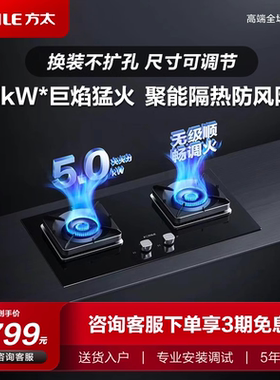 Fotile/方太 TH29B 方太燃气灶煤气灶嵌入式大火力天然气液化双灶
