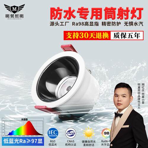 防水筒灯卫生间明翼全光谱筒灯
