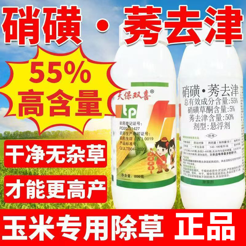 55%硝磺秀去津硝磺草酮莠去津玉米苗后除草剂玉米地除草专用剂