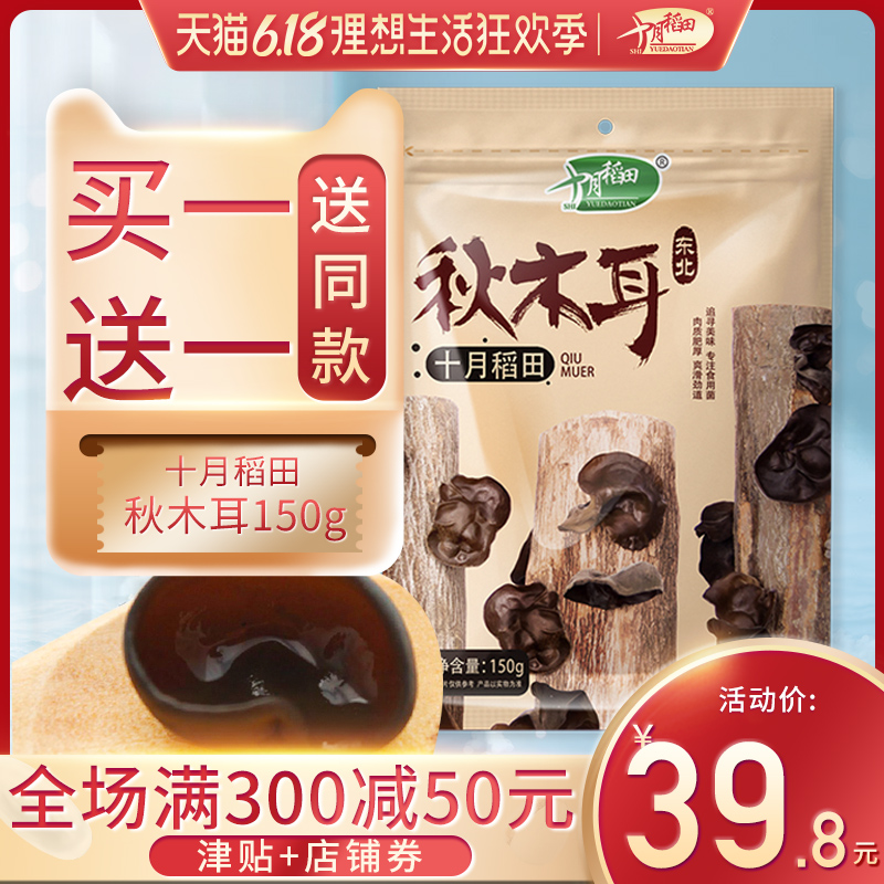 买1送1 十月稻田东北特产秋木耳椴木干货无根肉厚碗耳非野生150g