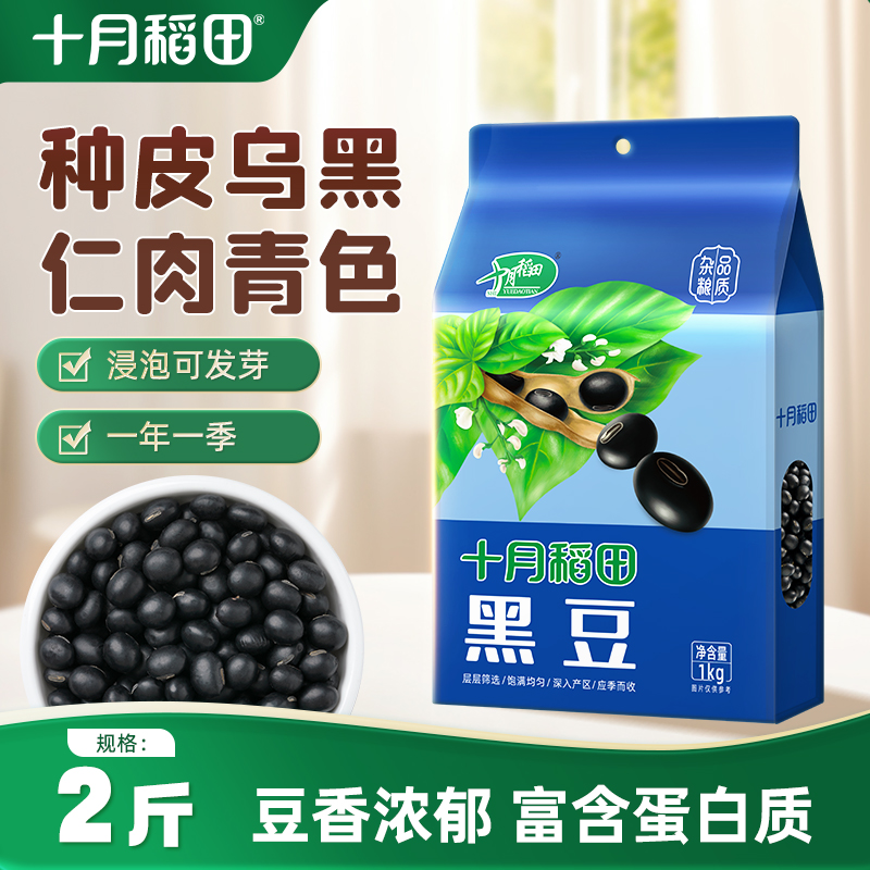 十月稻田东北绿芯黑豆