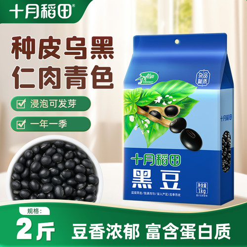 十月稻田东北绿芯黑豆