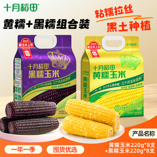 25年新玉米十月稻田黄糯玉米黑糯2袋白糯香甜拉丝东北新鲜玉米