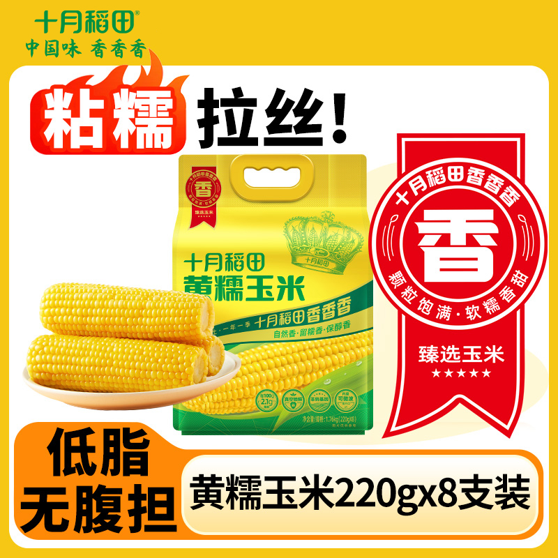 25年新玉米十月稻田黄糯玉米
