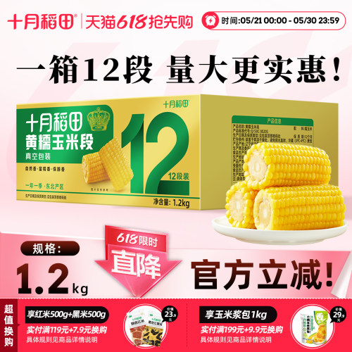 十月稻田黄糯玉米段免切低脂黏软香甜新鲜苞米东北玉米真空包装 - 封面