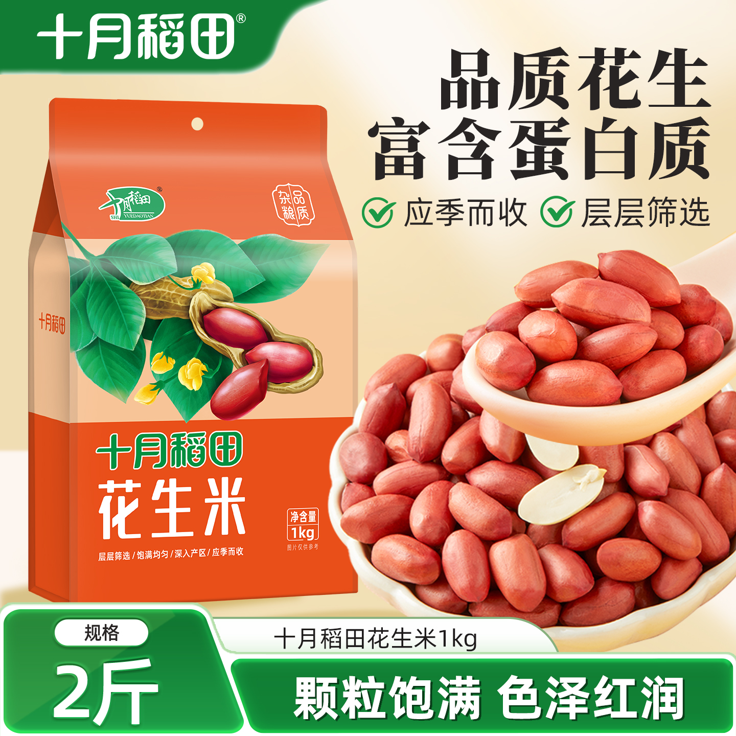 十月稻田花生米1kg红皮花生