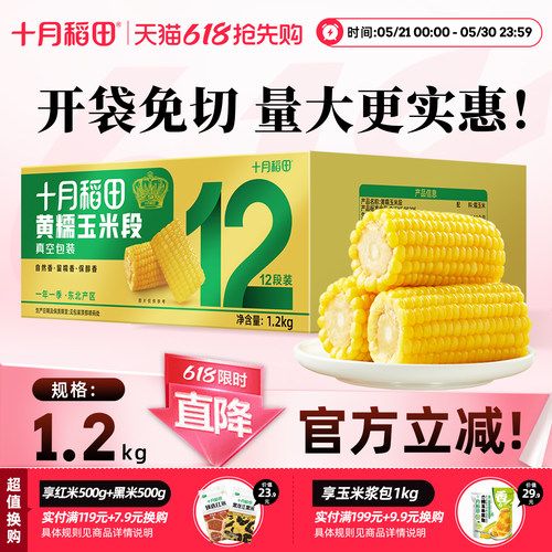 十月稻田黄糯玉米段健康低脂