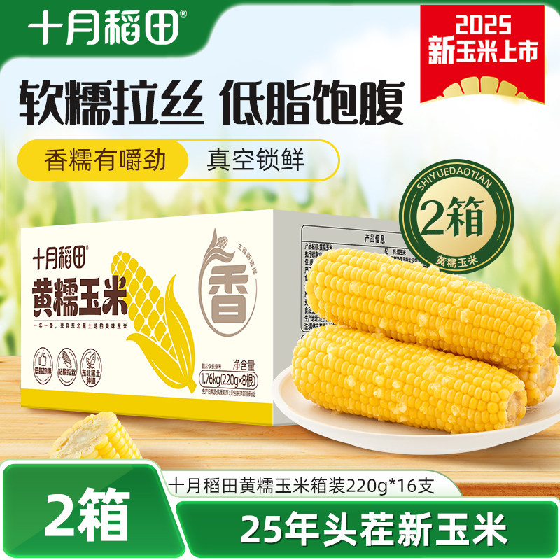 十月稻田黄糯玉米箱装2箱东北黏糯玉米新鲜低脂拉丝早餐官方旗舰