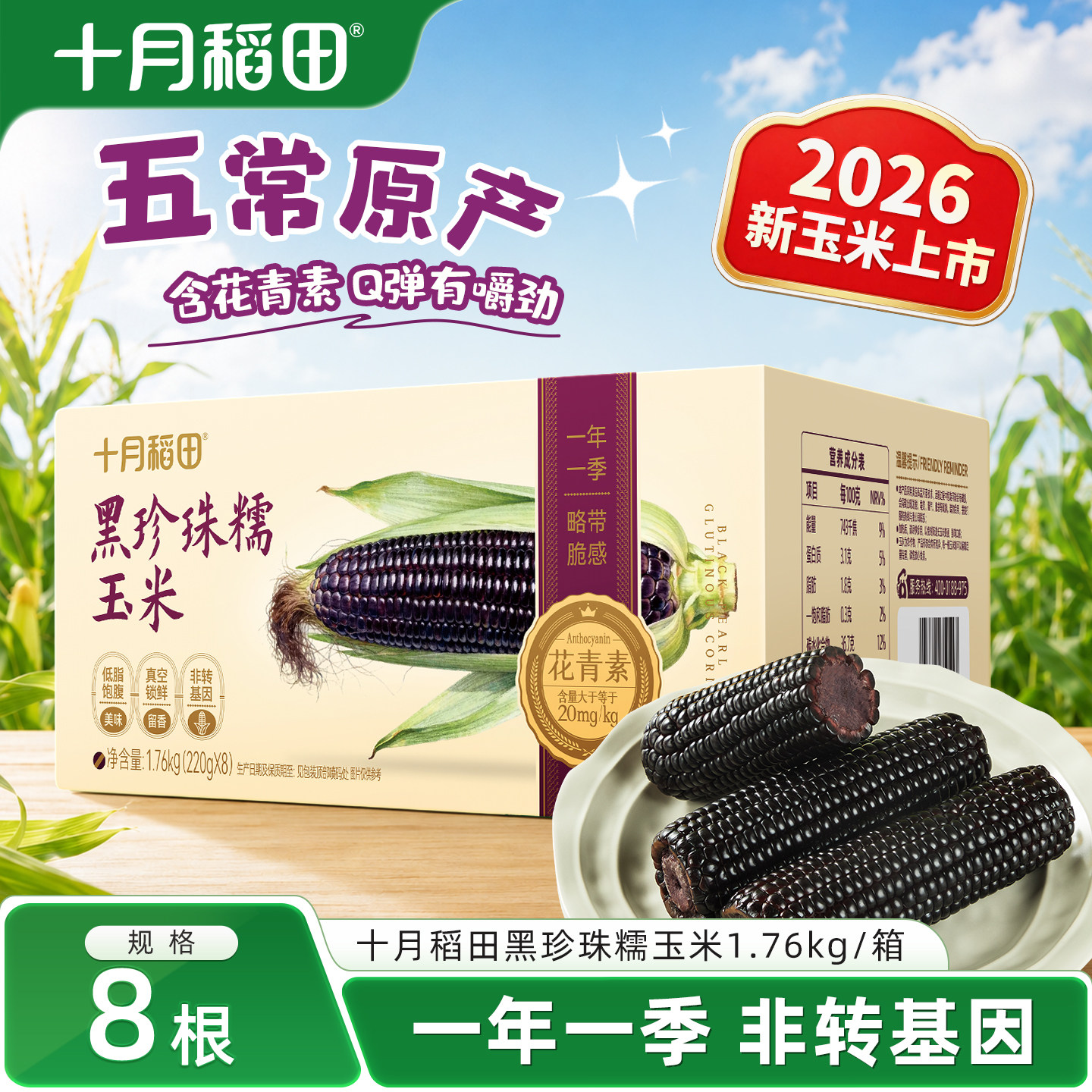 十月稻田26年新玉米黑糯玉米东北五常低脂饱腹粗粮轻食早餐黏苞米