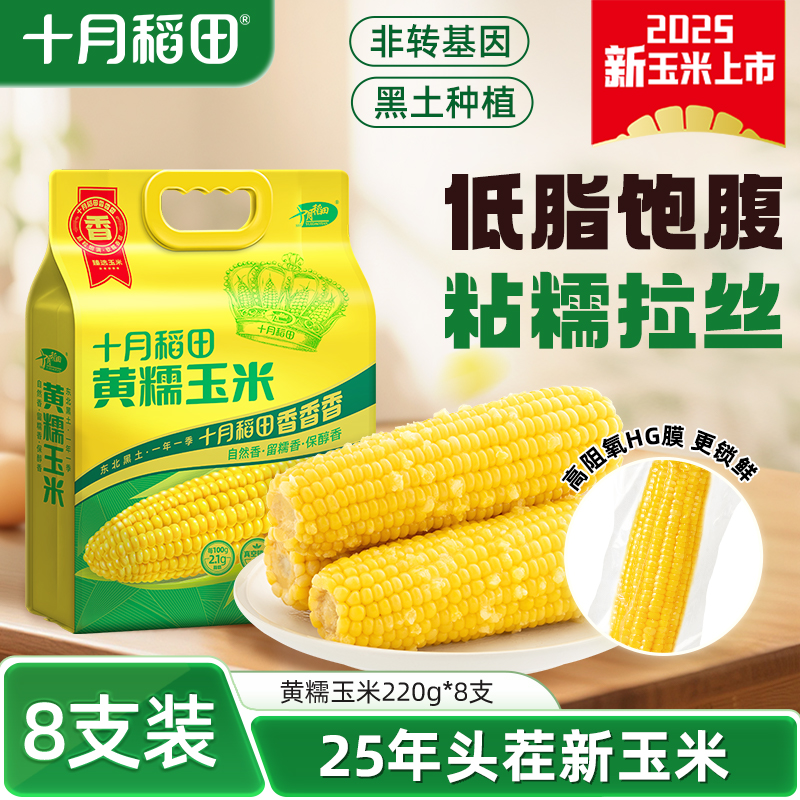 25年新玉米十月稻田黄糯玉米