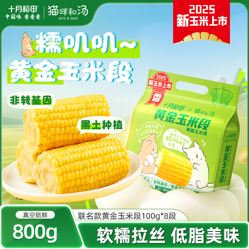 25年新玉米十月稻田黄金玉米段