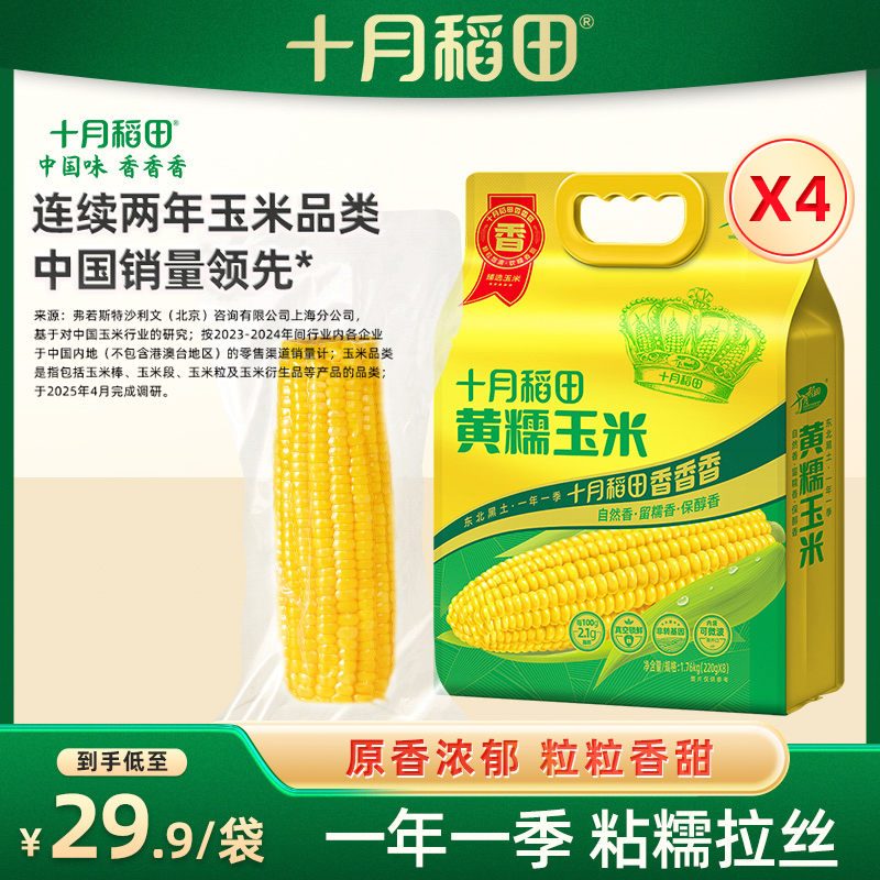 25年新玉米十月稻田黄糯玉米4袋