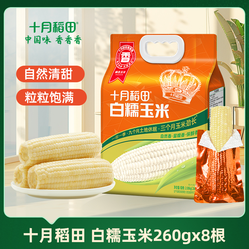 十月稻田白糯玉米大棒