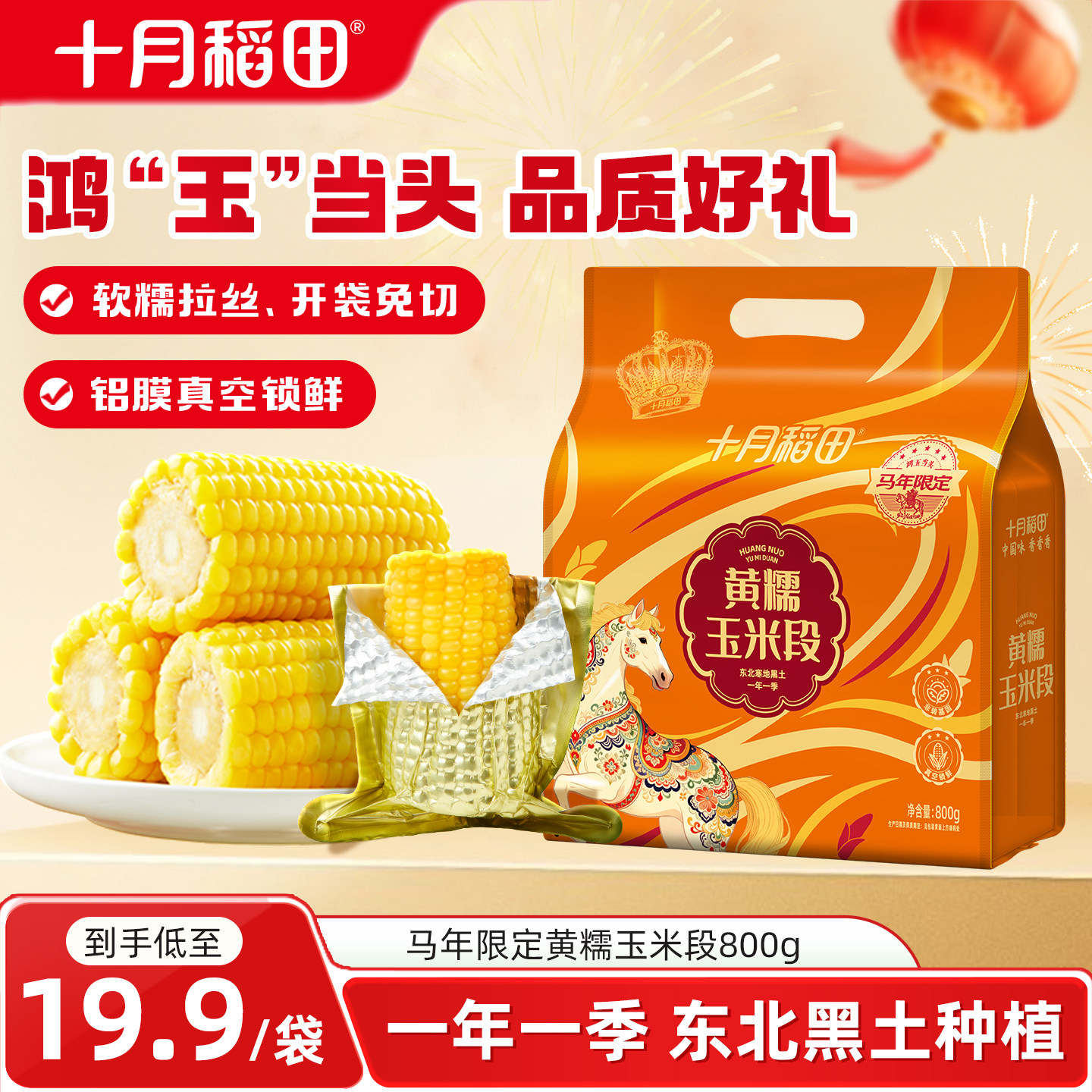 十月稻田黄糯玉米段马年限定图片