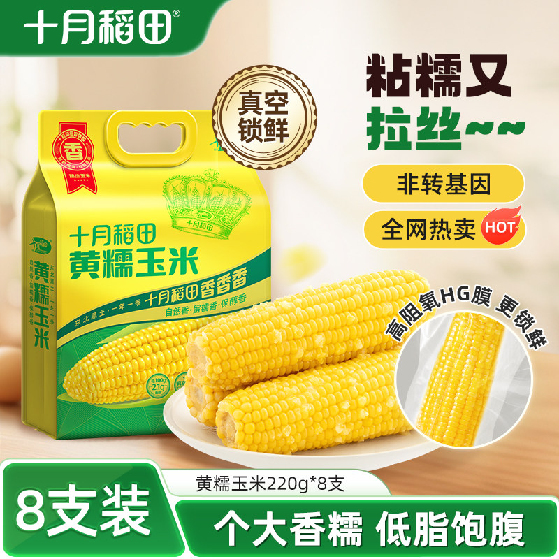 十月稻田黄糯玉米棒低脂粗粮粘糯香甜苞米拉丝东北新鲜玉米真空