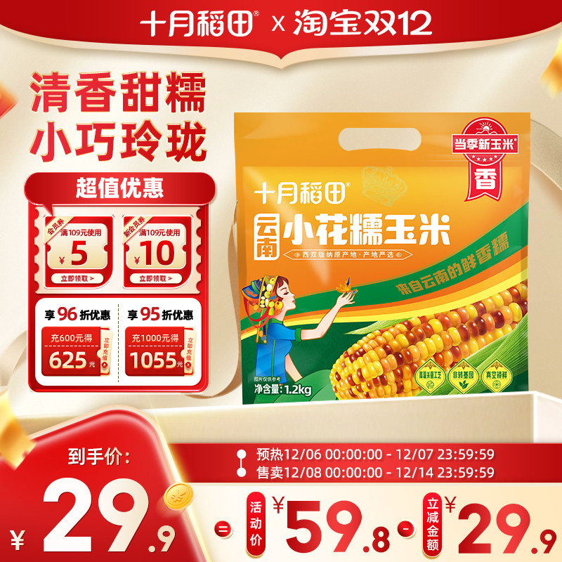 十月稻田云南小花糯玉米