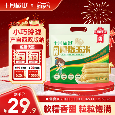 十月稻田云南拇指玉米