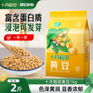 十月稻田东北黄豆大豆2斤粗粮杂粮豆子真空生豆芽打豆浆官方旗舰