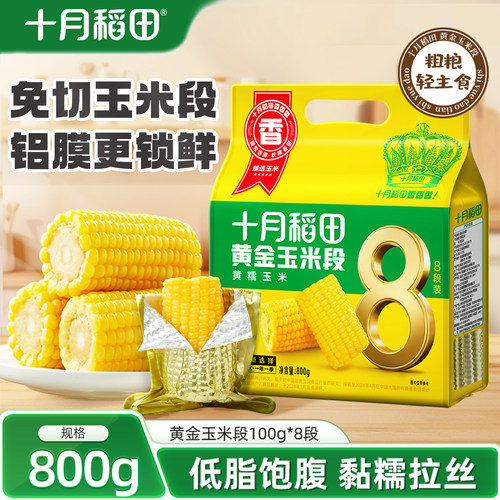 十月稻田黄糯玉米段东北苞谷