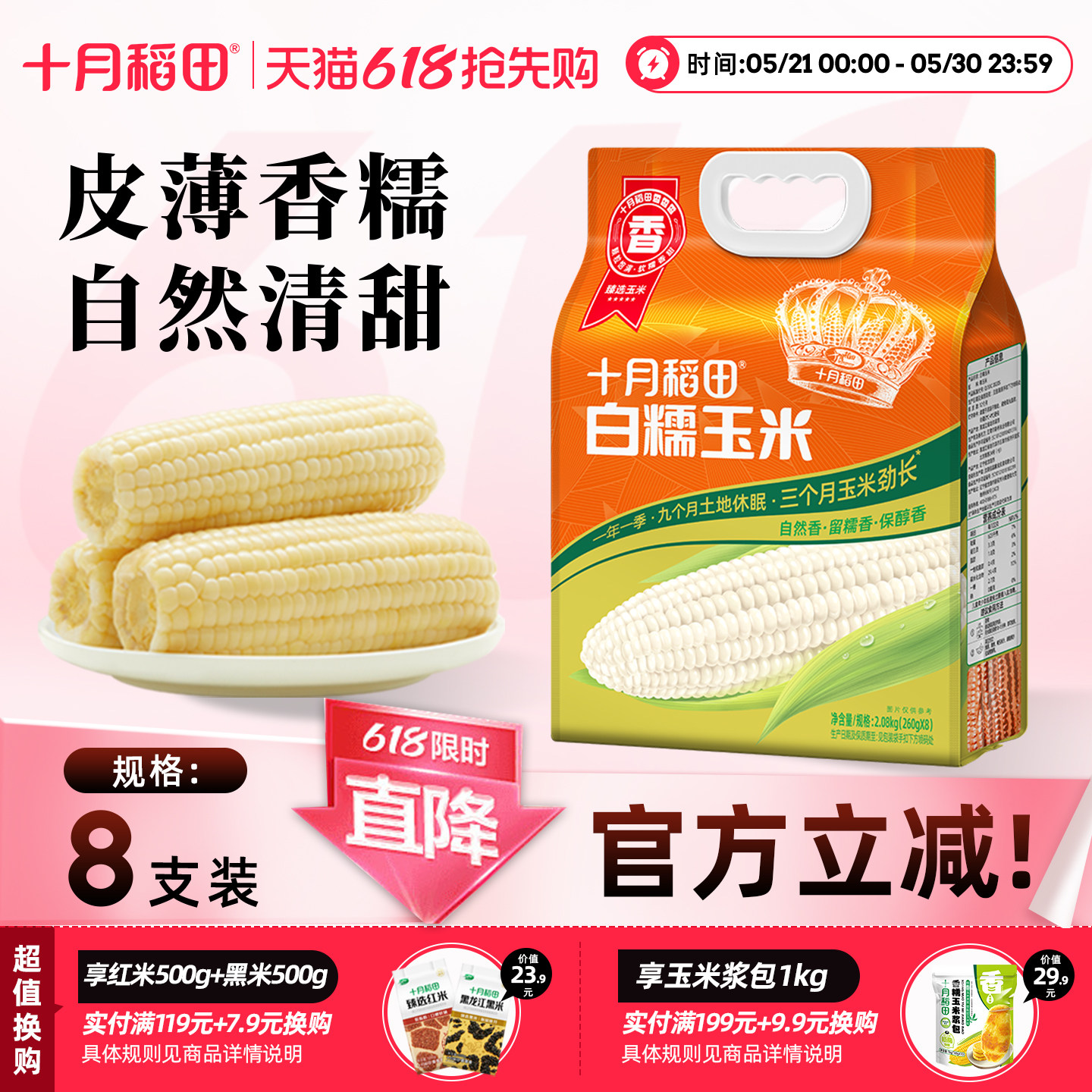 十月稻田白糯玉米大棒
