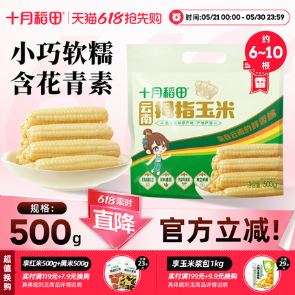 十月稻田云南拇指玉米小手指糯玉米新鲜软糯粗粮食品早餐西双版纳