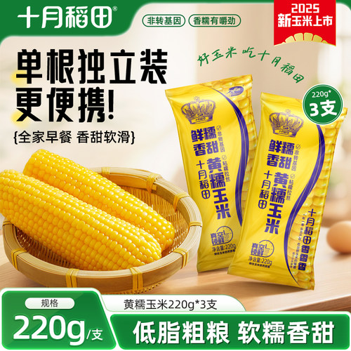 十月稻田新鲜黄糯玉米220gX3