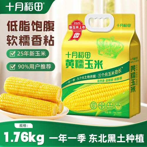 25年新玉米十月稻田黄糯玉米
