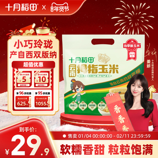 十月稻田云南拇指玉米500g非转基因真空包装新鲜玉米甜糯软糯