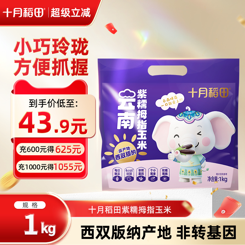 十月稻田云南拇指玉米1kg