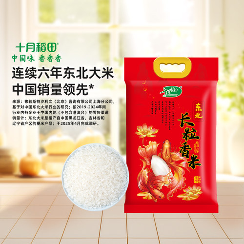 25年新米十月稻田长粒香米5kg