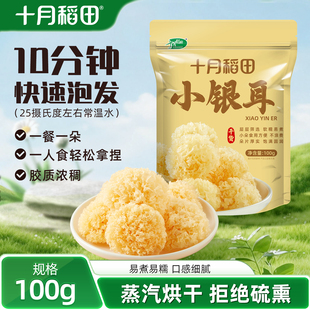 十月稻田椴树小银耳100g干货雪耳小朵银耳羹无熏染高泡发软糯多胶