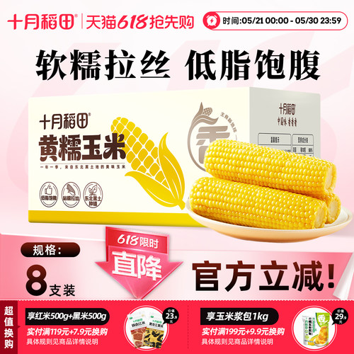 十月稻田黄糯玉米箱装