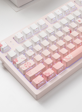 JKDK落樱缤纷 粉色侧刻透光 OEM键帽68 75 84 87 104 8.0机械键盘