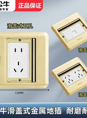 公牛五孔十孔网络防水地面插座