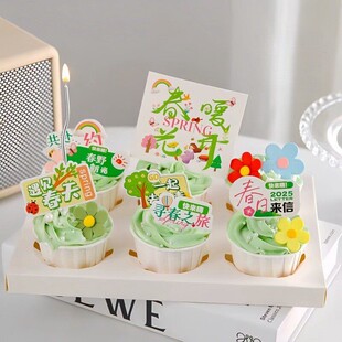 春日季纸杯蛋糕装饰遇见春天尖尖卡插牌插件彩色小花配件约会春天