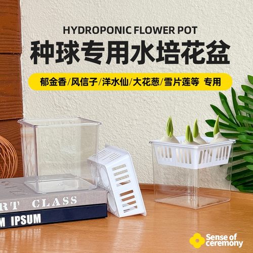 水培郁金香风信子专用透明花盆