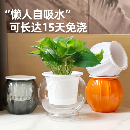 简易可爱懒人自动吸水花盆