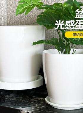 花盆家用轻奢高级感树脂塑料加厚耐用虎皮兰龟背竹天堂鸟白色高款