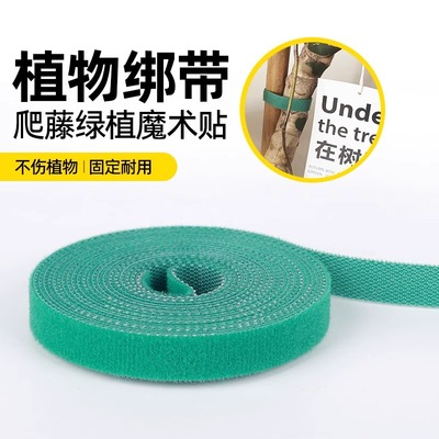 蔬菜植物爬藤固定魔术贴绑带