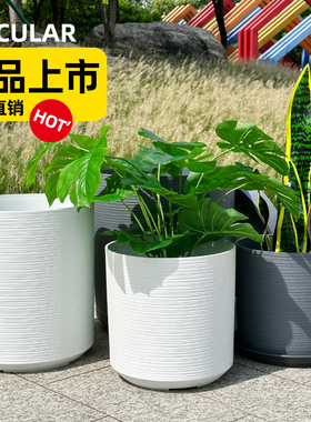精致小绿植树脂塑料家用天堂鸟虎皮兰龟背竹大花盆丨轻奢高级感
