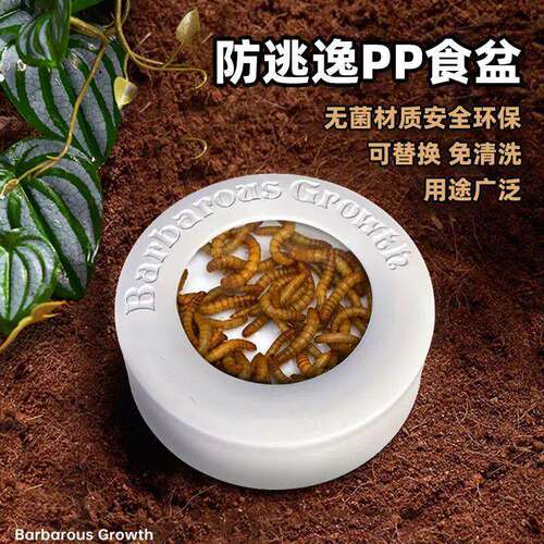 面包虫大麦食盆水盆爬宠爬虫防逃逸杜比亚防逃脱食盆蜥蜴守宫鬃狮