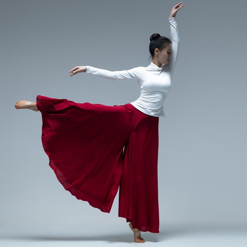 古典舞舞蹈演出服女飘逸练功服套装中国风现代舞阔腿裤成人演出服