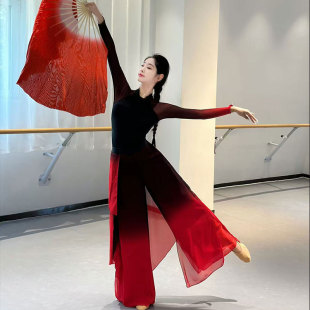 古典舞演出服学生艺考练功服女2025新款 中国风表演服扇子舞蹈服装
