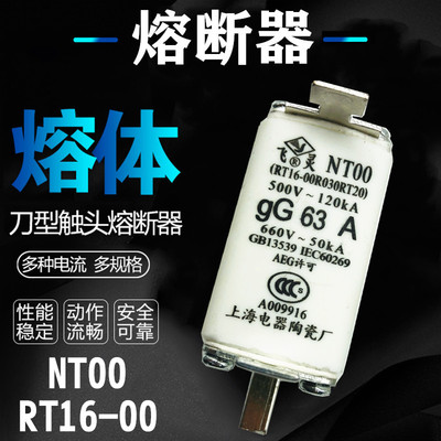 RT16-00 NTOO NT00陶瓷熔断器32A 40A 50A 63A 80A 125A 160A熔芯