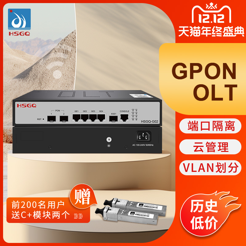 鸿升HSGQ小型GPON OLT光纤设备VLAN划分EPON OLT万兆上联安防网络电话工程FTTH酒店小区学校全光组网PON设备
