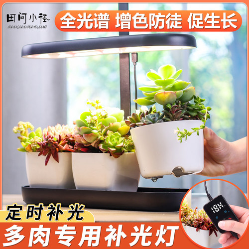 智能植物补光灯全光谱多肉防徒长智能懒人花盆室内绿植花卉种植机