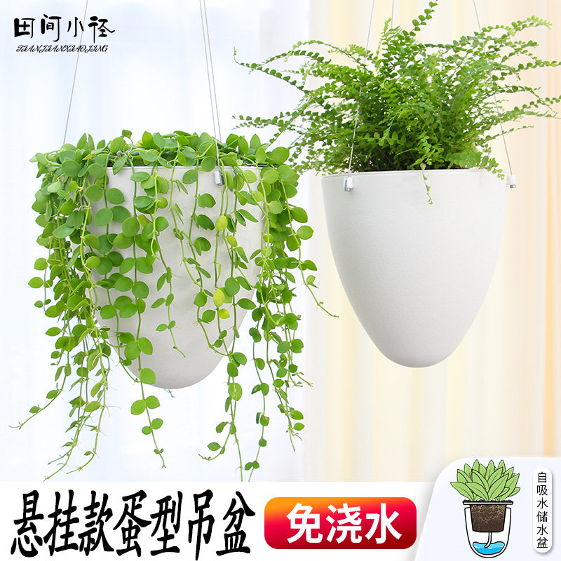 懒人花盆免浇水悬挂花盆免钉壁挂盆创意绿植花卉种植盆水培绿植盆