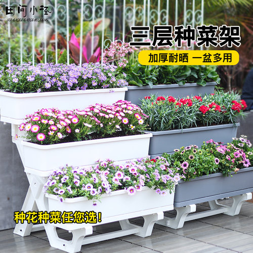 阳台种菜架子多层种菜盆