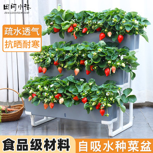 种菜专用盆阳台种菜盆种植箱多层菜架食品级自吸水花盆顶楼草莓盆